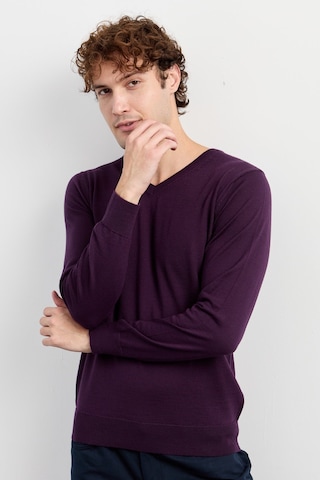 Erkek Basic V Yaka İnce Triko Kazak Mor Mor