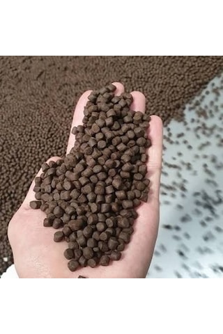 Alabalık Ve Sazan Avları İçin Palet Yemi 500 Gr 8 Mm