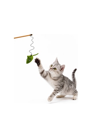 Kedi Oltası - Dawcat - Fare Figürlü - Yeşil