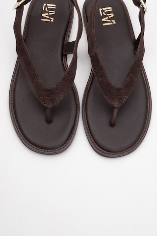 Belinda Kahverengi Süet Hakiki Deri Kadın Parmak Arası Sandalet Kahverengi