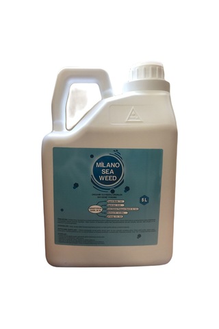 Milano Sea Weed 5 Lt Deniz Yosunu 5 Lt
