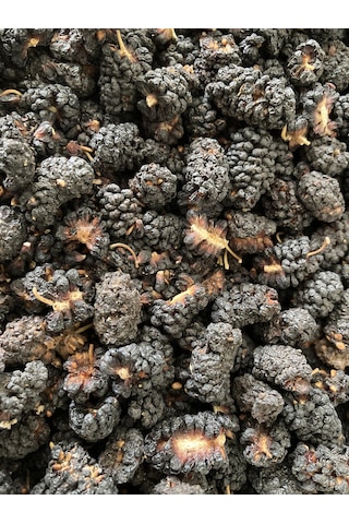 Baş Değirmenler İzmir Torbalı Karadut Kurusu 1 KG