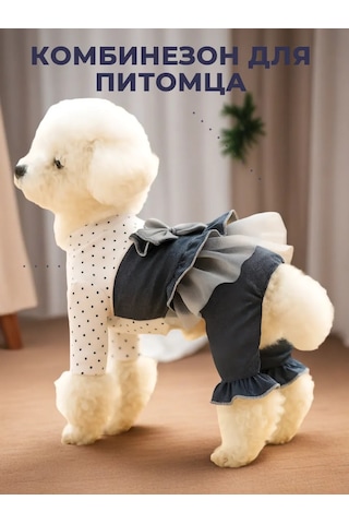 Best Golden Monkey Köpekler İçin Tulum 450280287