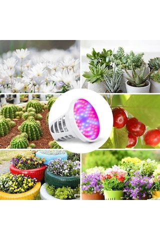 Bloomnest Uv Sivrisinek Öldürücü Led Bitki Işığı - 8w Usb Şarjlı İç Mekan Bitkileri Yetiştirme Çadırı Ampulü