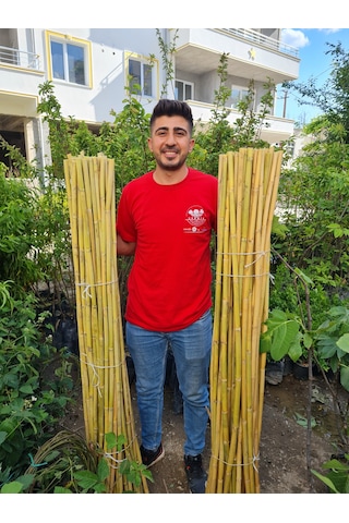Bambu Fidan Bitki Destek Çubuğu 20 Adet 2 Metre Boy