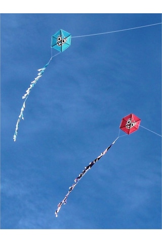 Naylon Altıgen Gülenyüz Uçurtma Orta Boy