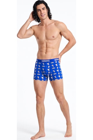 Carnaval Socks Koala Desenli Erkek Boxer Pamuklu Likralı Parlak Lastikli Kutulu Saks Mavi Çoklu