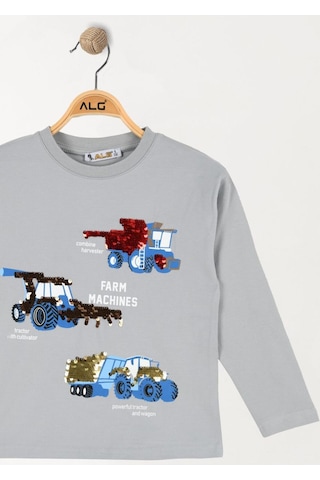Alglıfe Erkek Çocuk Pullu Sweatshırt Gri