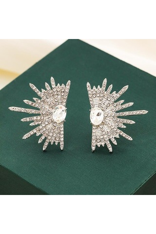 Büyük Bitkili Ve Parlak Zirkonlu Küpe Gümüş