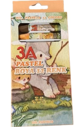 Pastel Boya 12 Renk 2 Adet Çok Renkli