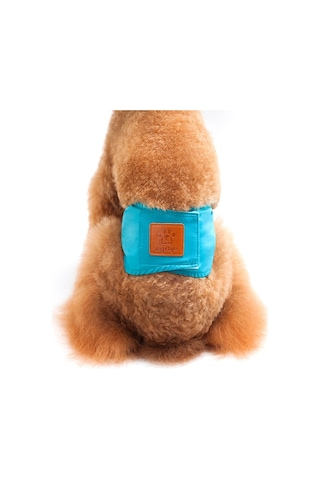 Pet Erkek Köpekler İçin Düz Renk Fizyoloji Pantolon Kibar Ve Taciz Önleyici Köpek Güvenlik Pantolonu, Boyut: Xl Camgöbeği