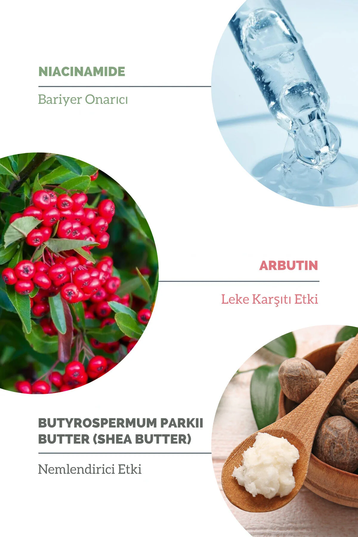 Leke Karşıtı Aydınlatıcı Nemlendirici Beyaz İz Bırakmayan Güneş Kremi Spf+50
