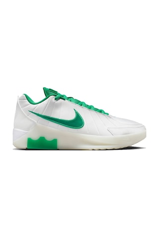 Nike Lebron Witness Ix Mens Basketball Shoes Erkek Basketbol Ayakkabısı Beyaz