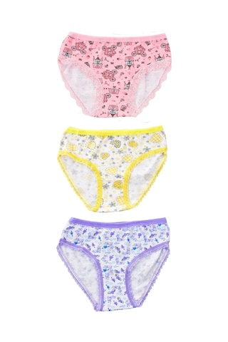 Pemilo Kız Çocuk 840 Desenli 3'Lü Slip Renkli