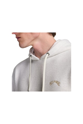 Bıllabong Billabong Arch Po Erkek Bej Sweatshirt Oah