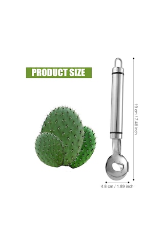 Reedark Paslanmaz Çelik Kaktüs Soyucu - Uzun Saplı Mutfak Aleti 19x4.8 Cm - Sebze Meyve Soyma Ve Dilimleme Aracı