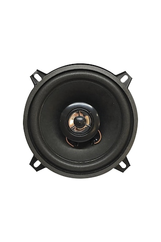 Powermaster Pw-13t 13 Cm 4 Ohm 100 Watt Tweteerlı Tekli Hoparlör