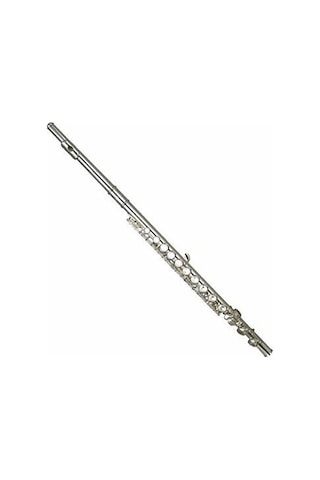 Wısemann Dfl-150 Gümüş Yan Flüt