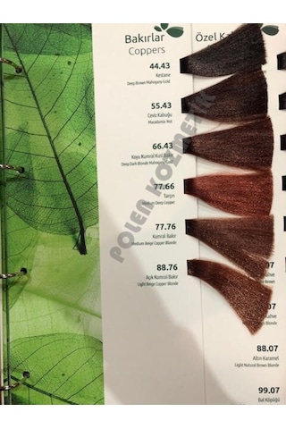 Biomagic Doğal Saç Boyası 60 Ml + Oksidan 90 Ml