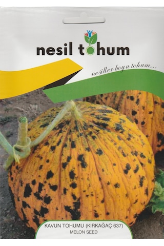 Nesil Kavun Tohumu Kırkağaç 637 5G
