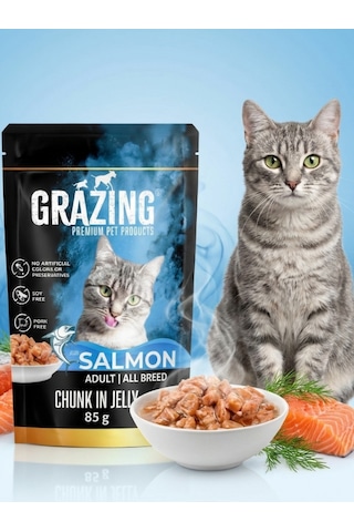 12li Somonlu Yaş Kedi Maması Omega Destekli Yaş Mama 12x 85 Gr