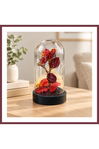 Storeşahin Küçük Işıklı Fanus Shn0720
