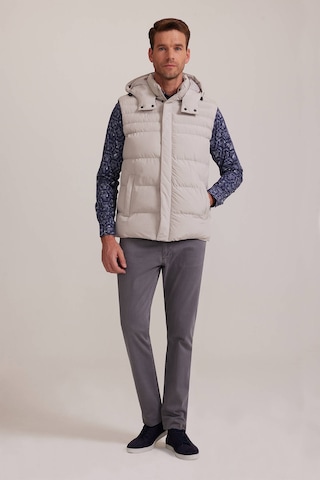 Ysf Erkek Taş Regular Fit Yelek