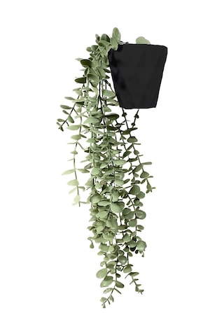 Yapay Çiçek Elmas Siyah Saksıda Pastel Yeşili Okaliptus Sarkıtı Çok Renkli