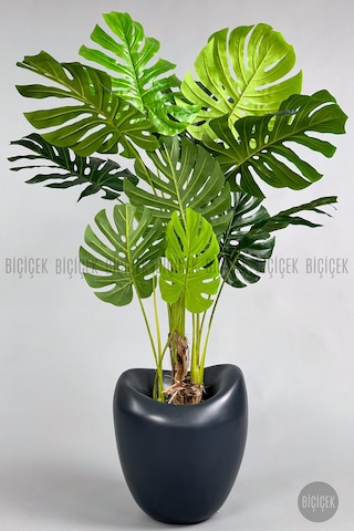 Biçiçek Yapay Monstera Ağacı Deve Tabani 170 Cm Antresi̇t Lale Saksıda