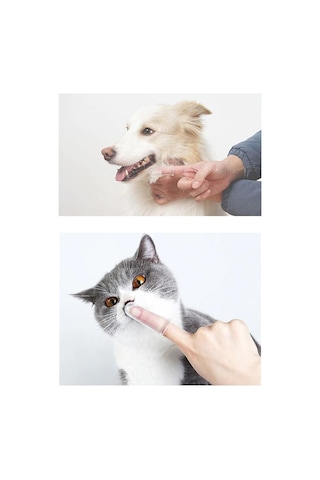 Safestore Silikon Kedi Ve Köpek Diş Fırçası Evcil Hayvan Yumuşak Diş Bakım Fırçası