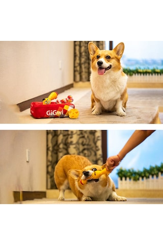 Gigwi Peluş Kemik Çantası Köpek Oyuncak