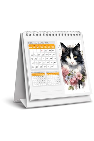 2026 Kedi Color Masa Takvimi-16x15 Cm