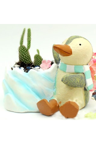 Suntek Reçine Penguen Kaktüs Etli Bitki Çiçek Yatak Pot