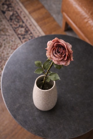 Blush Rose Yapay Gül Çok Renkli