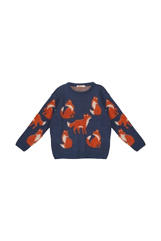 Denokids Mshb&g Tilki Erkek Çocuk Lacivert Triko Kazak Çok Renkli