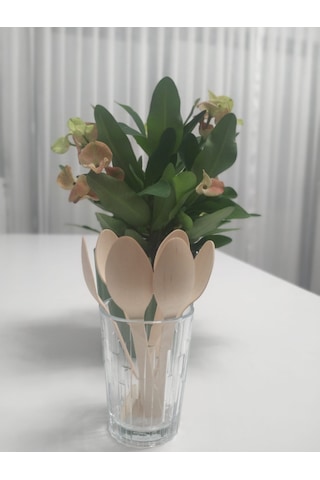 Kullan At Ahşap Tahta Kaşık Çatal Bıçak Set 24 Lü 16 Cm 8 Çatal +8 Kaşık + 8 Bıçak Bej