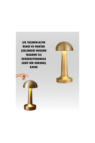 Northcity Usb Şarjlı Dokunmatik Led Masa Lambası 3 Renk Modu & Dimmer Beyaz