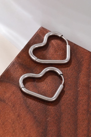 Chavin Çelik Kalp Dizayn Gri Bayan Küpe Eu81 Gümüş