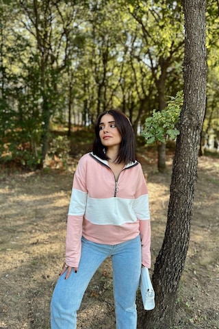 WeShaya Kadın Pembe Uzun Kol, Dik Yaka, Fermuarlı, Double Color Block Basic Sweatshirt Bluz Pembe