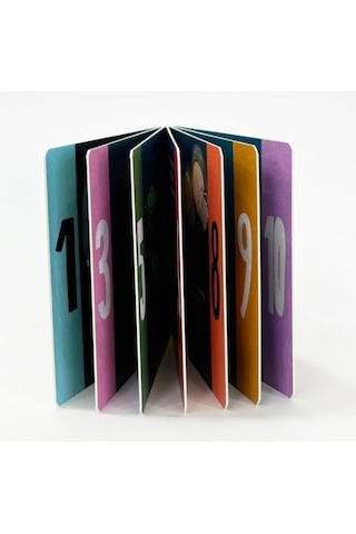 Sincap Kitap Numbers - Baby University First Concepts Stories 2