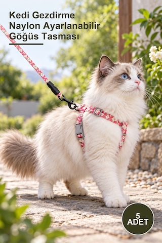 5 Adet Kedi Gezdirme Naylon Ayarlanabilir Göğüs Tasması