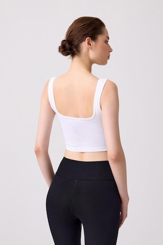Cottonhill Premium - Kadın Beyaz Seamless Orta Boy Kare Yaka Crop Top Büstiyer Beyaz