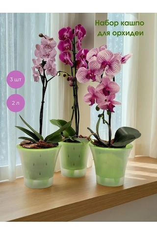 Live-in-green 2 Litre Orkide İçin Şeffaf Plastik Saksı Takımı 342131427