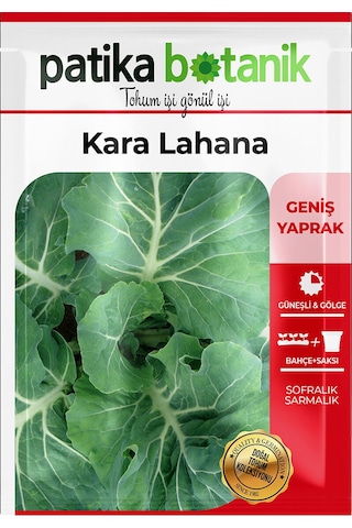Patika Botanik 1000 Adet Kara Yaprak Lahana Tohumu