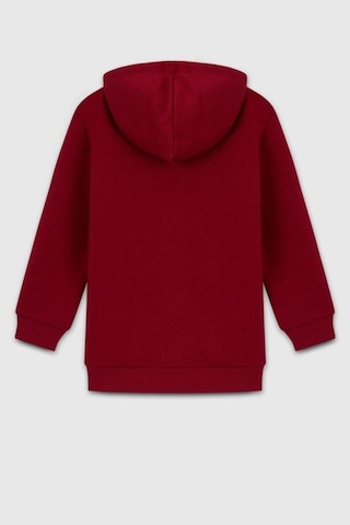 United Colors Of Benetton Erkek Çocuk Bnt-b23341 Sweatshirt Bordo-2127 Bordo