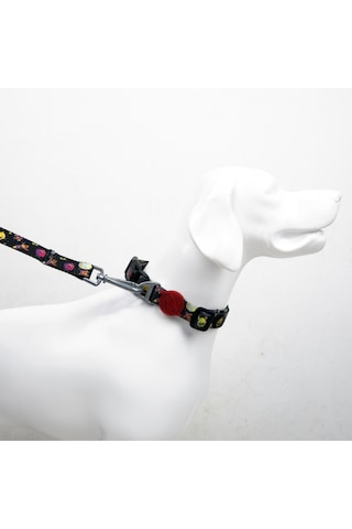 Rainbow Boyun Tasmaları Ayarlanabilir Dayanıklı ve Konforlu Köpek Desenli Boyun Tasması L
