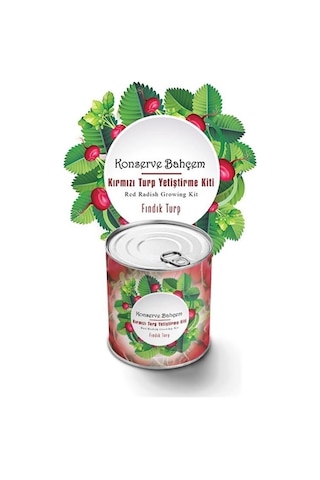 Buffer Konserve Bahçem Evde Konservede Fındık Turp Yetiştirme Kiti Mavi