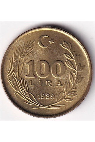 100 Lira 1989 Çil Eski Madeni Para