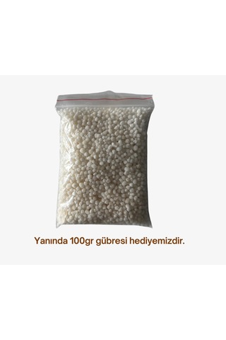 Crimson Sweet Karpuz Tohumu 10 Gr Ort: 200 Adet + 100gr Gübre