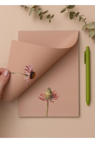 The Mia Art Line Mini Notluk Coneflower 15x21 Cm 40 Yaprak